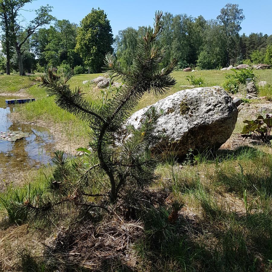 Vila Sanzila Bernatoniai Buitenkant foto
